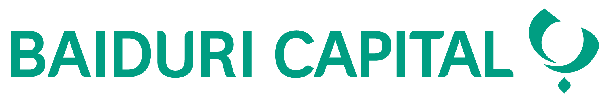 Baiduri Capital Sdn Bhd